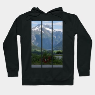 Wonderful landscapes in Norway. Blooming colorful lupine flowers in Norway in the wild grass. Blur background. Summer cloudy day(vertical) Hoodie